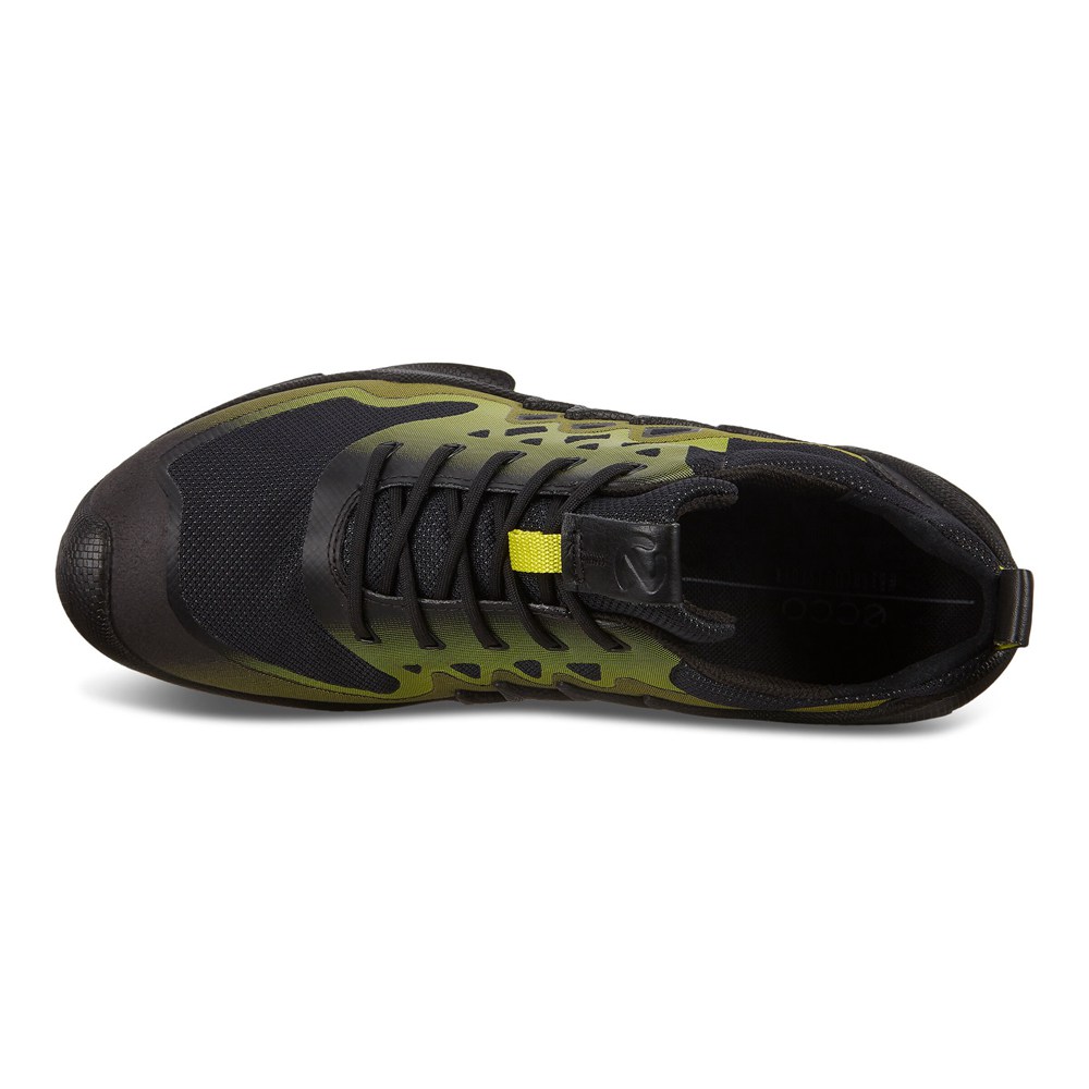 Mens Hiking Shoes - ECCO Biom Aex Low Two-Tone - Black/Green - 4271JHUWC
